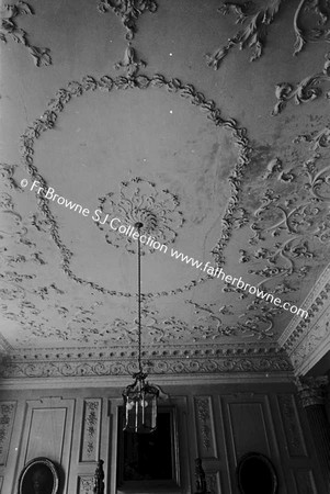 CASTLETOWN HOUSE CEILING